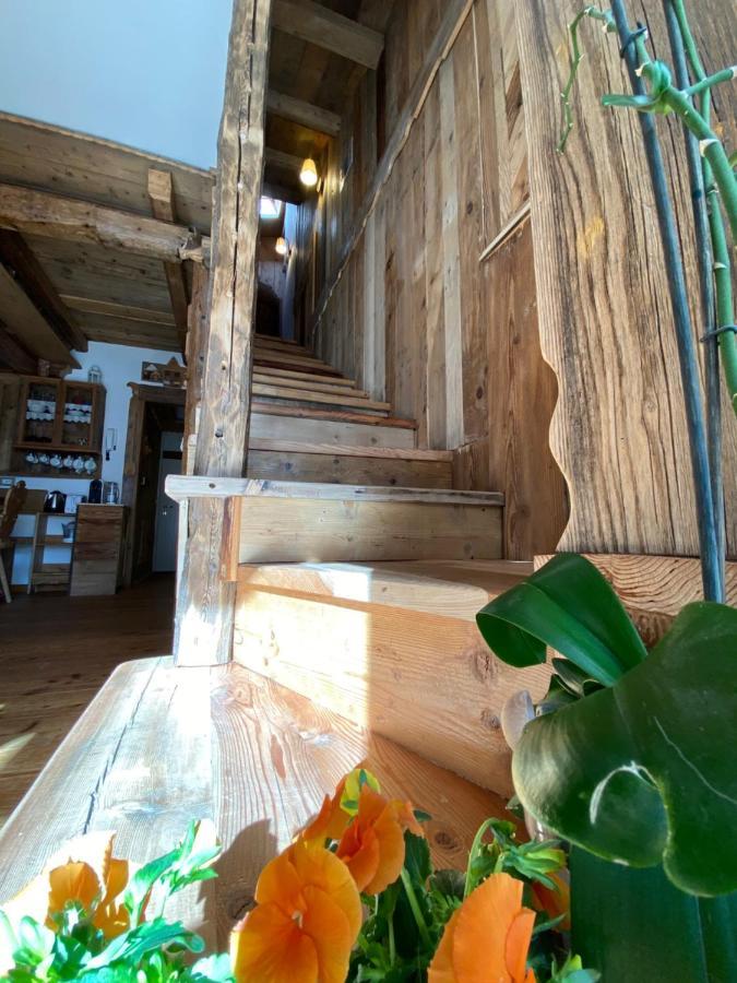 Calore Di Una Casa Di Montagna 坎皮泰洛迪法萨 外观 照片
